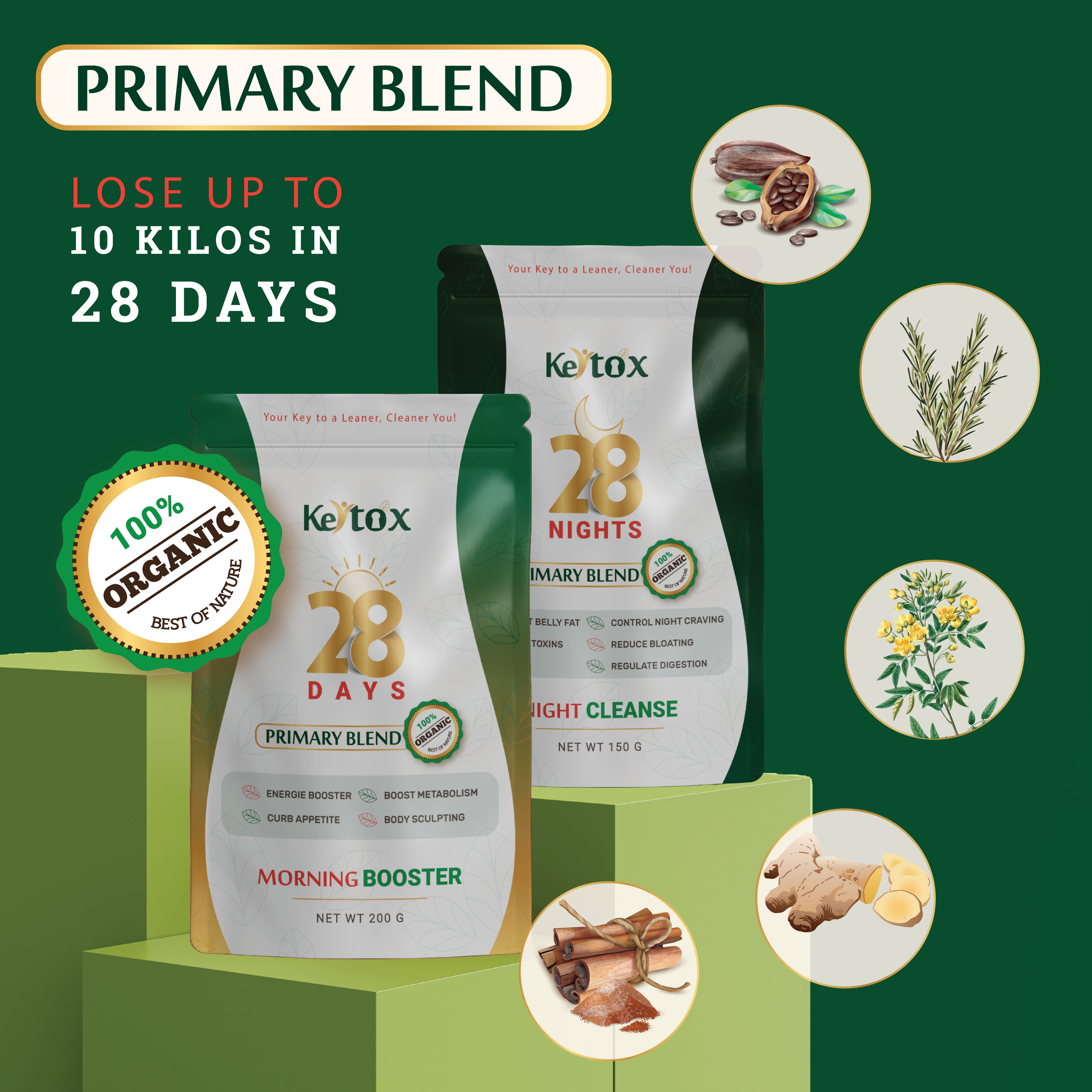 Keytox™️ Primary Blend : Lose 5 to 10 kgs